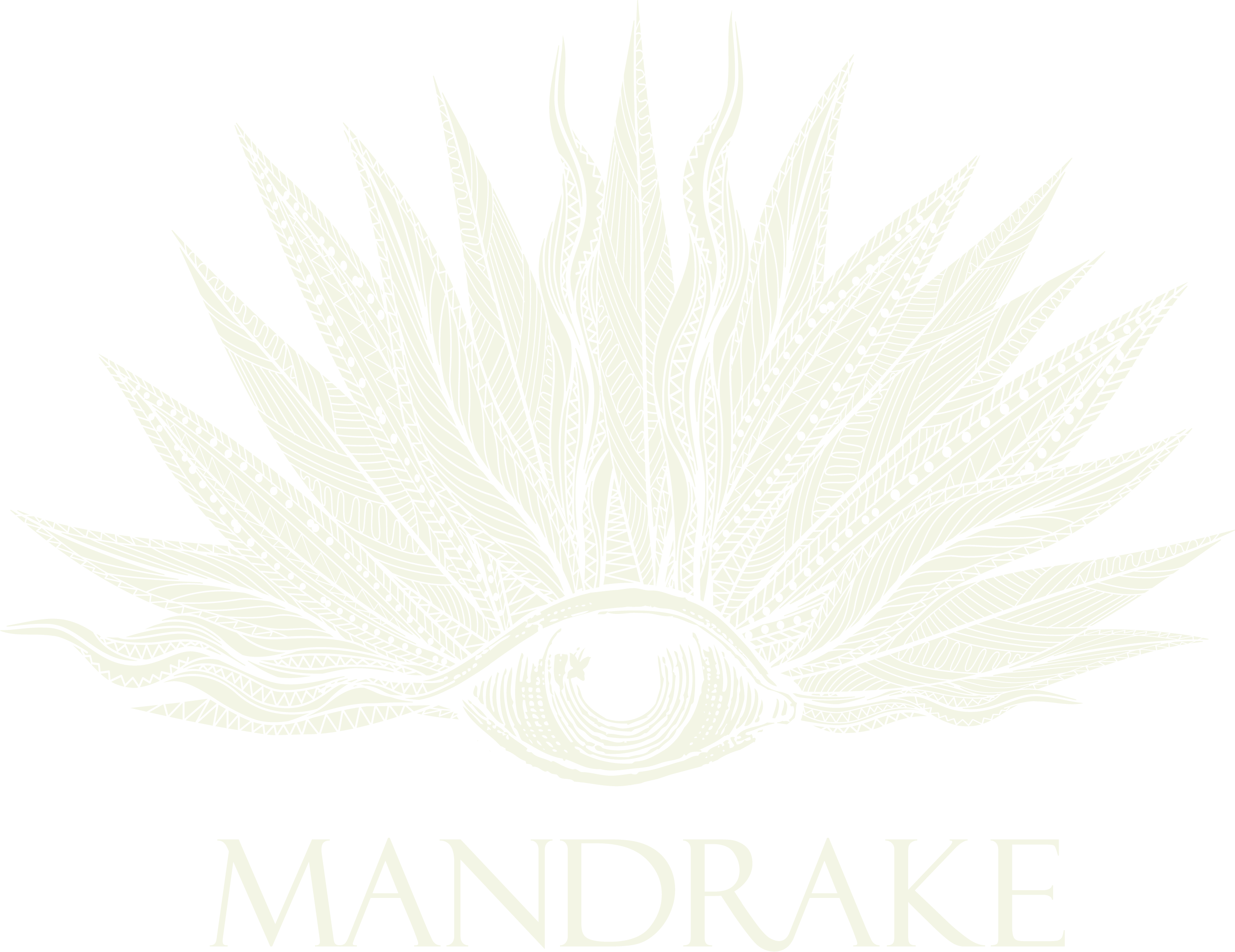 The Mandrake